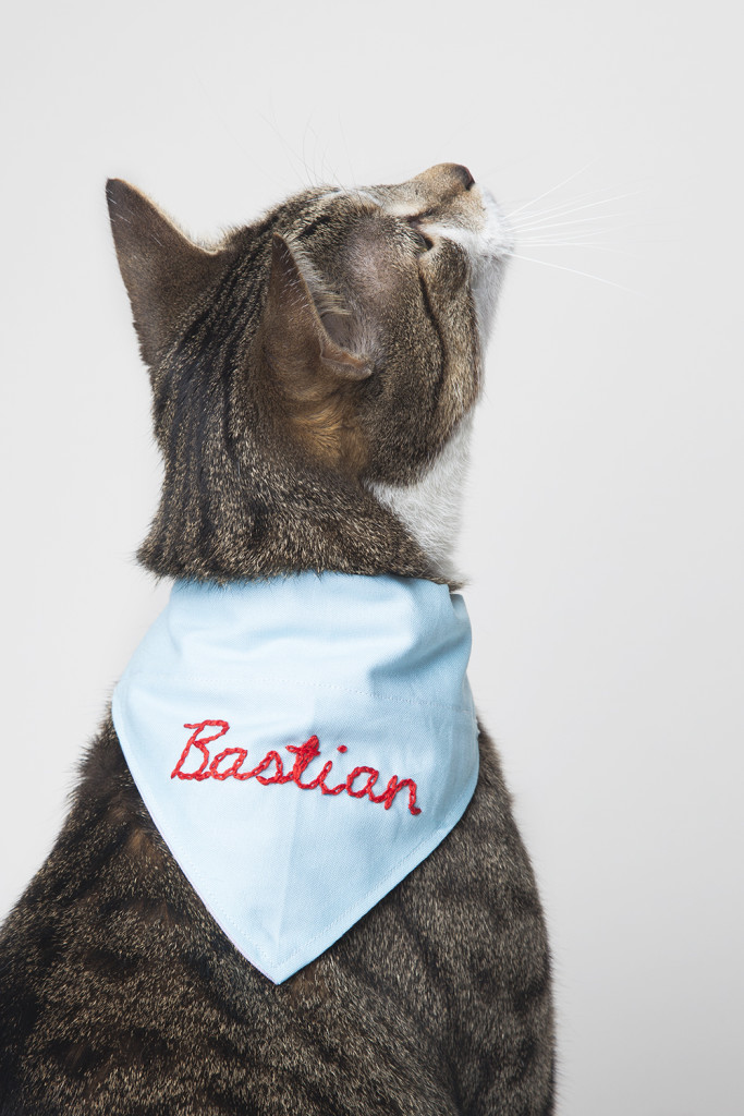 Hora-do-passeio com seu Pet-cordel-de-achados