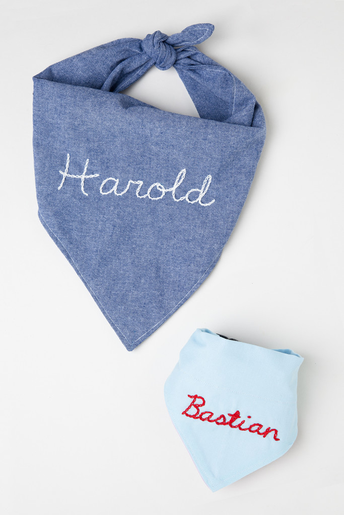 Hora-do-passeio com seu Pet-bandana-cordel-de-achados