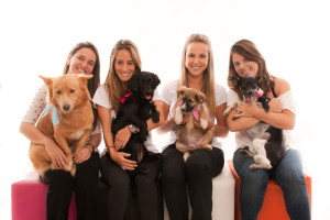 focinho-abandonado-cordel-de-achados